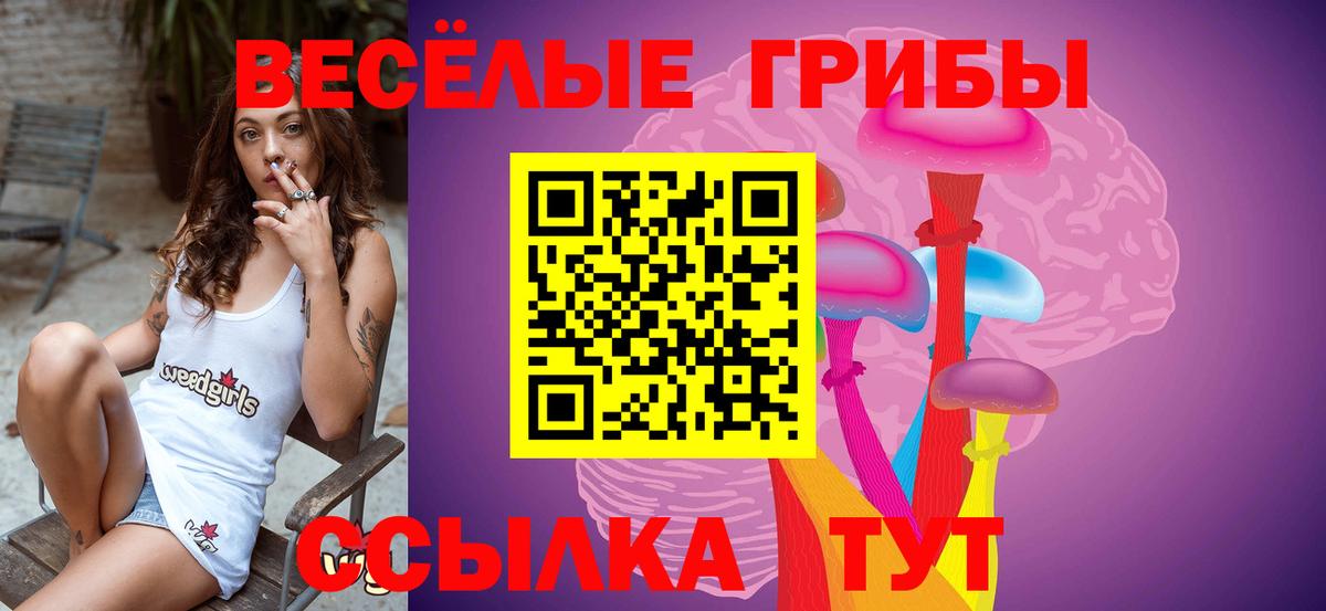 Галлюциногенные грибы мухоморы Избербаш